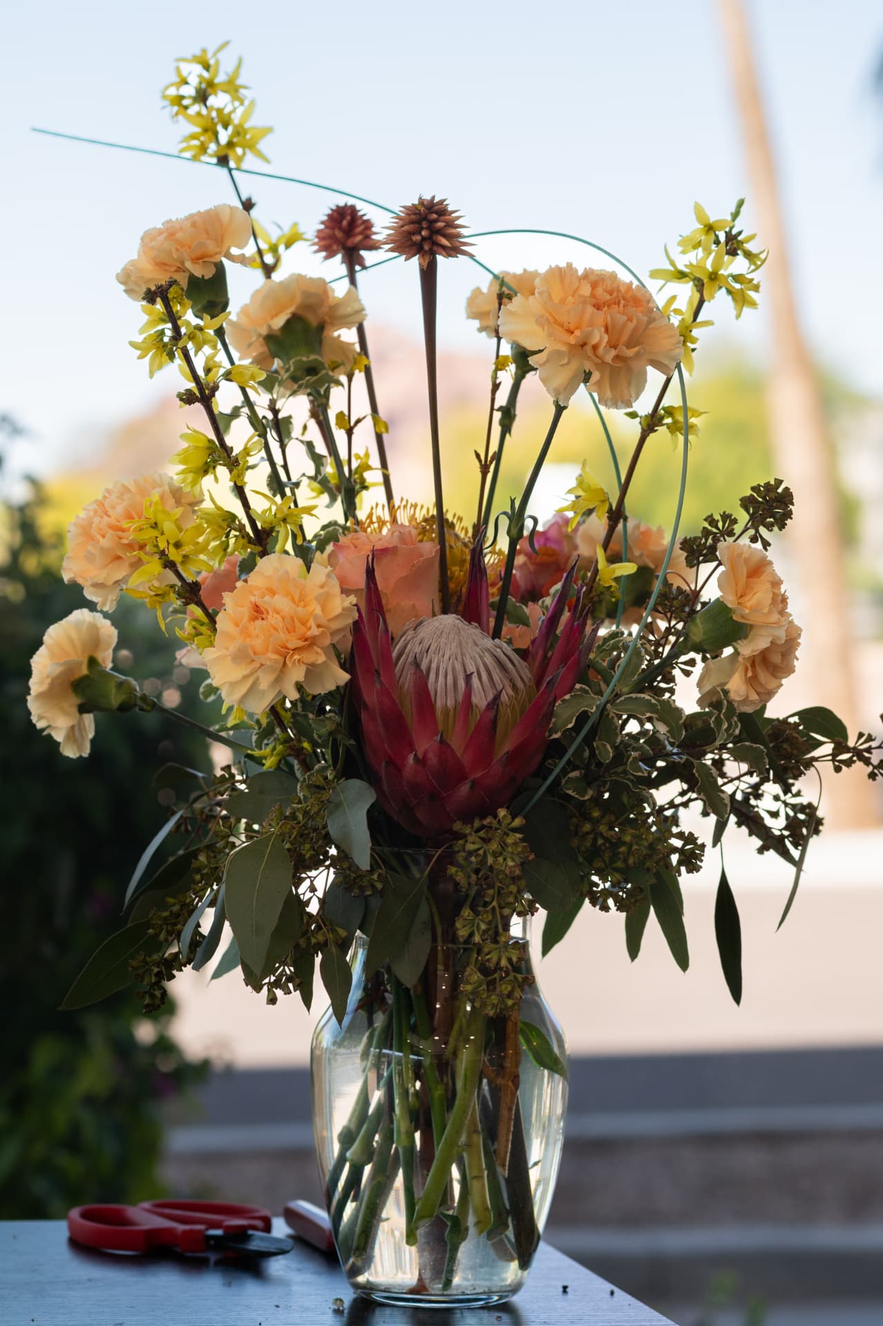 A finished arrangement with king protea, peach carnations, and forsythia in a glass vase